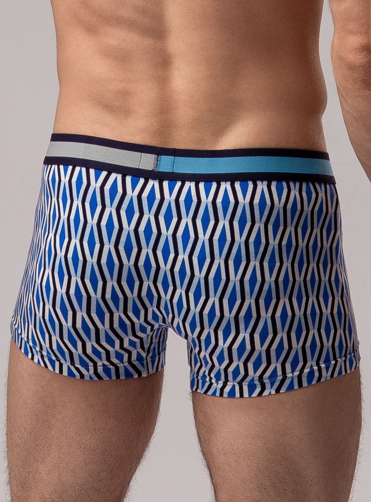 Мужские трусы (Арт. 2103MUG)