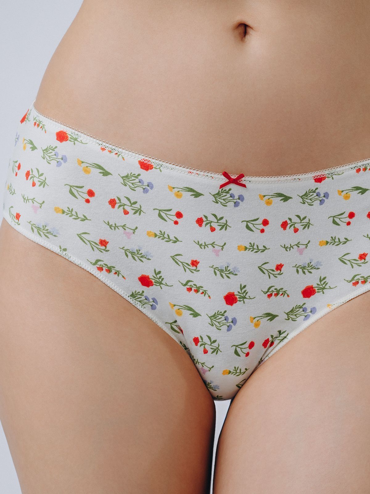 Женские трусы слипы Indefini (Арт. 3190LUB)