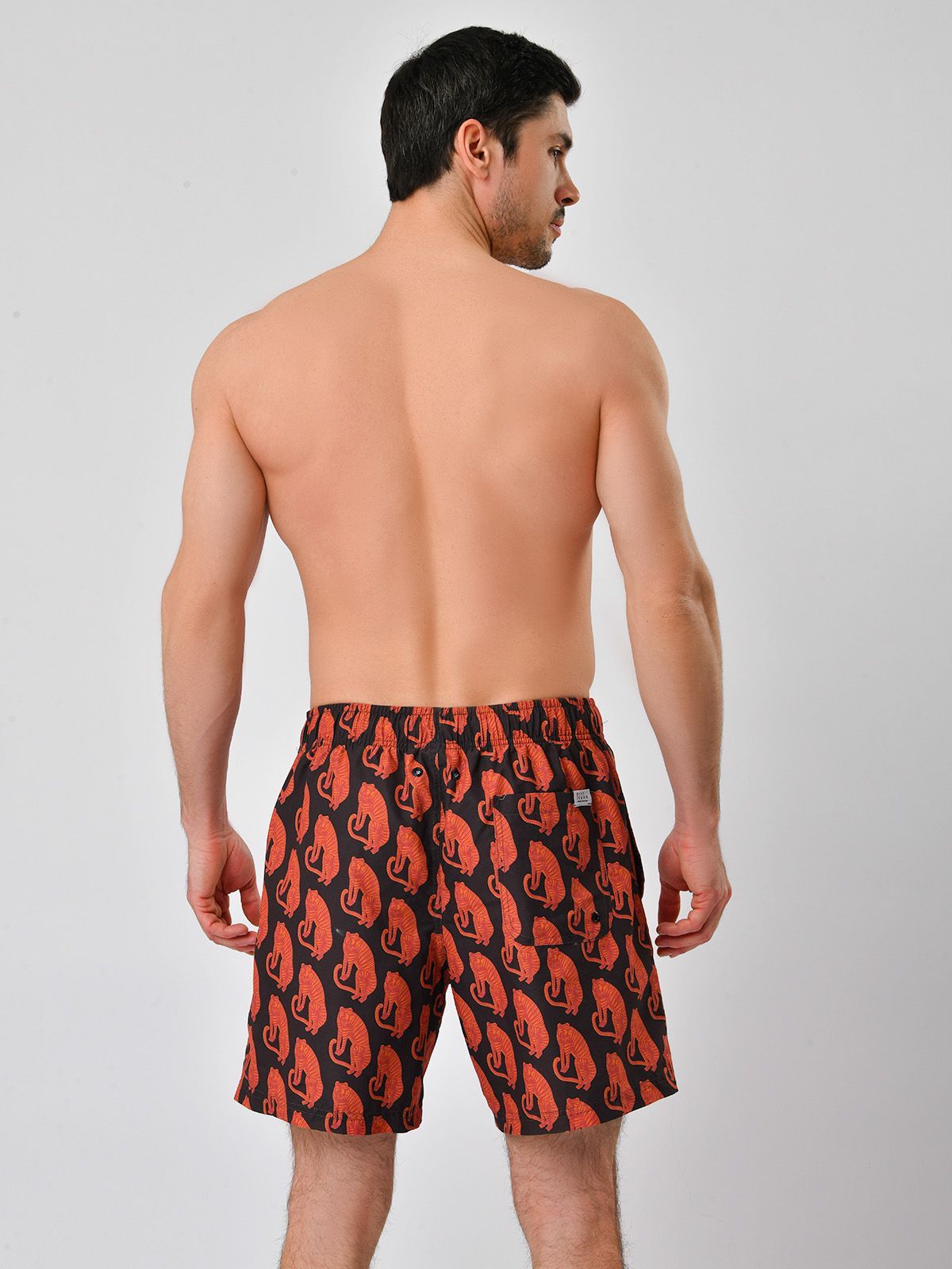 Пляжные шорты Indefini (Арт.761400-3001YMS)