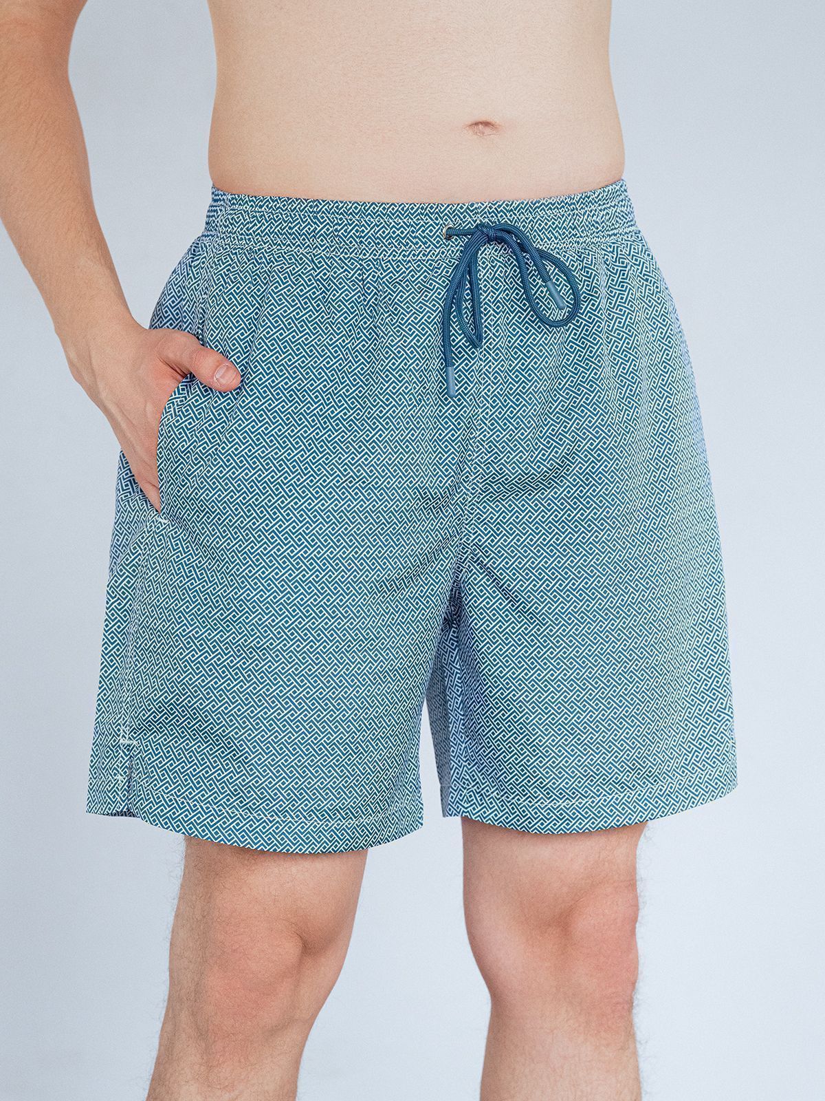 Пляжные шорты Indefini (Арт. 5044YMS)