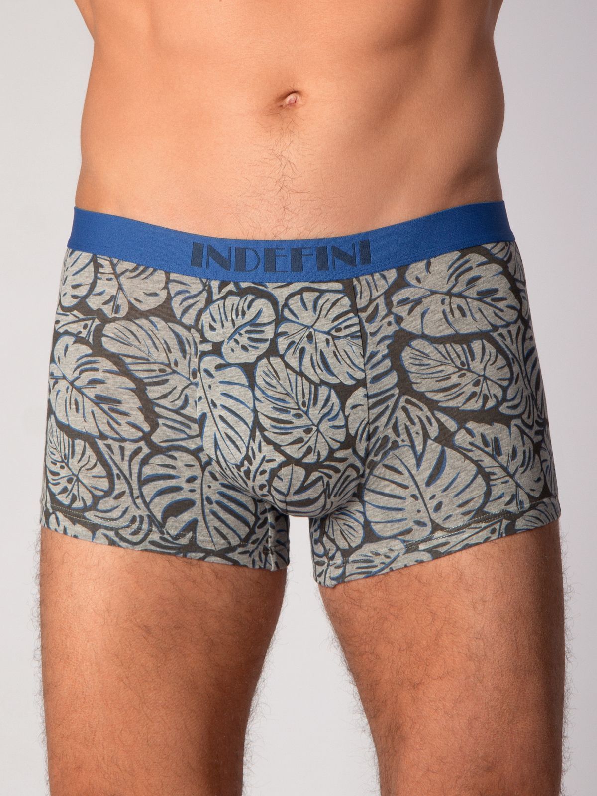 Мужские боксеры с принтом Indefini (Арт. 3029MUG)