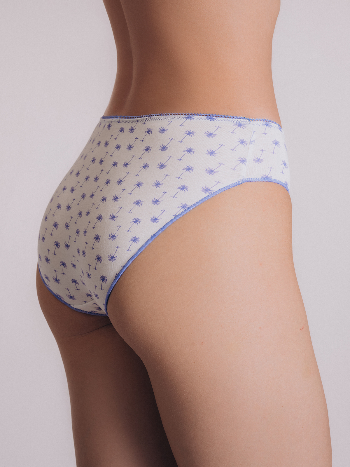 Женские белые трусы слипы (Арт. 3255LUB)